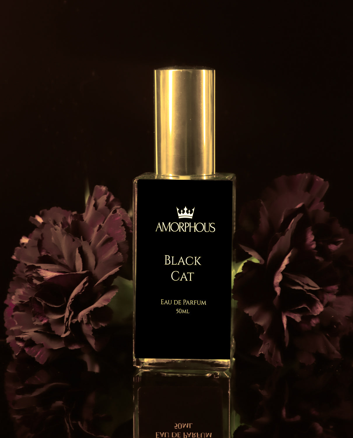 Perfumes Black Week Parfum Black Cat Eau De Parfum – Amorphous Perfume