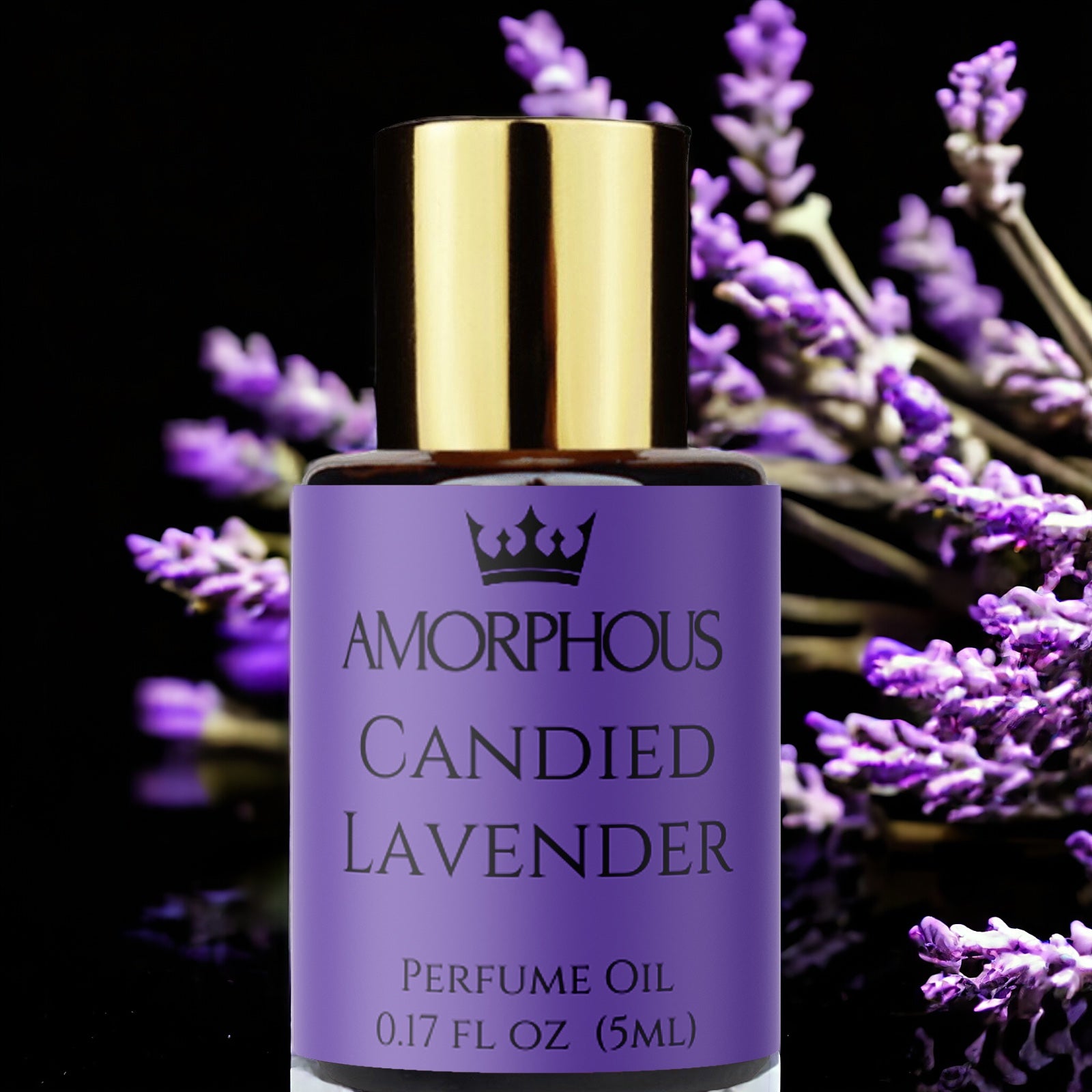 candied lavender fragrance