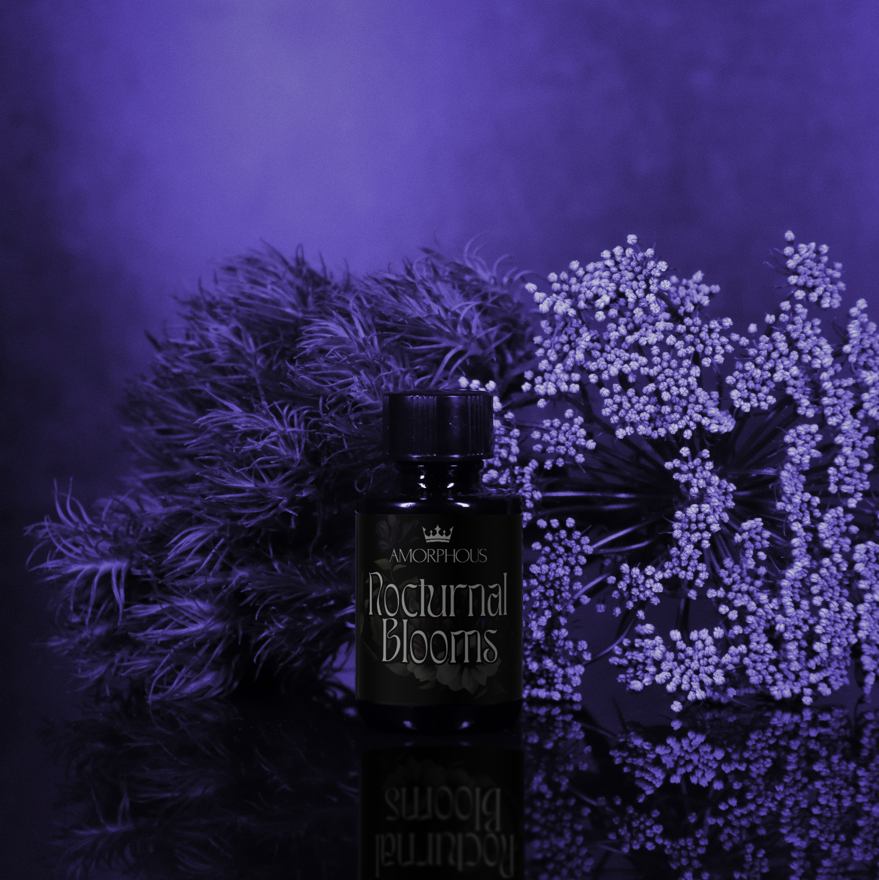 Seasonal Limited Editions – Amorphous Perfume