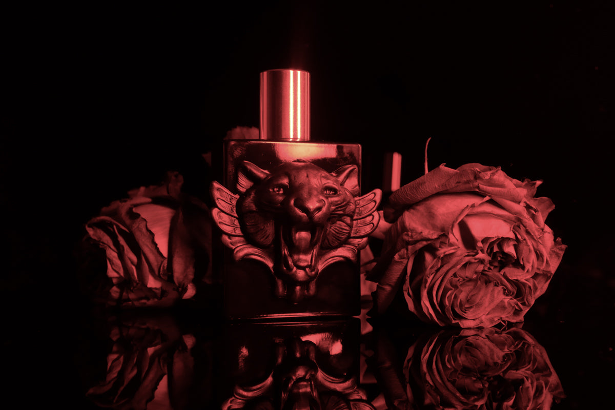 Nosferatu perfume