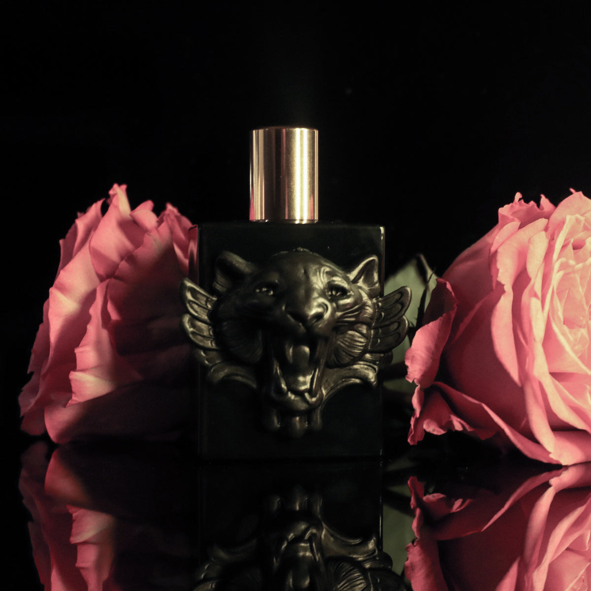 Nosferatu Extrait | Studio Edition Collectors Bottle