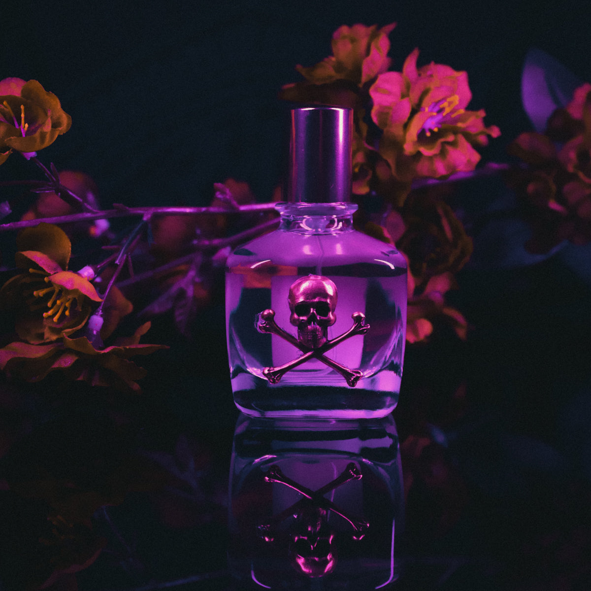 Bottle of Amorphous Vena Cava perfume oil with a dark background