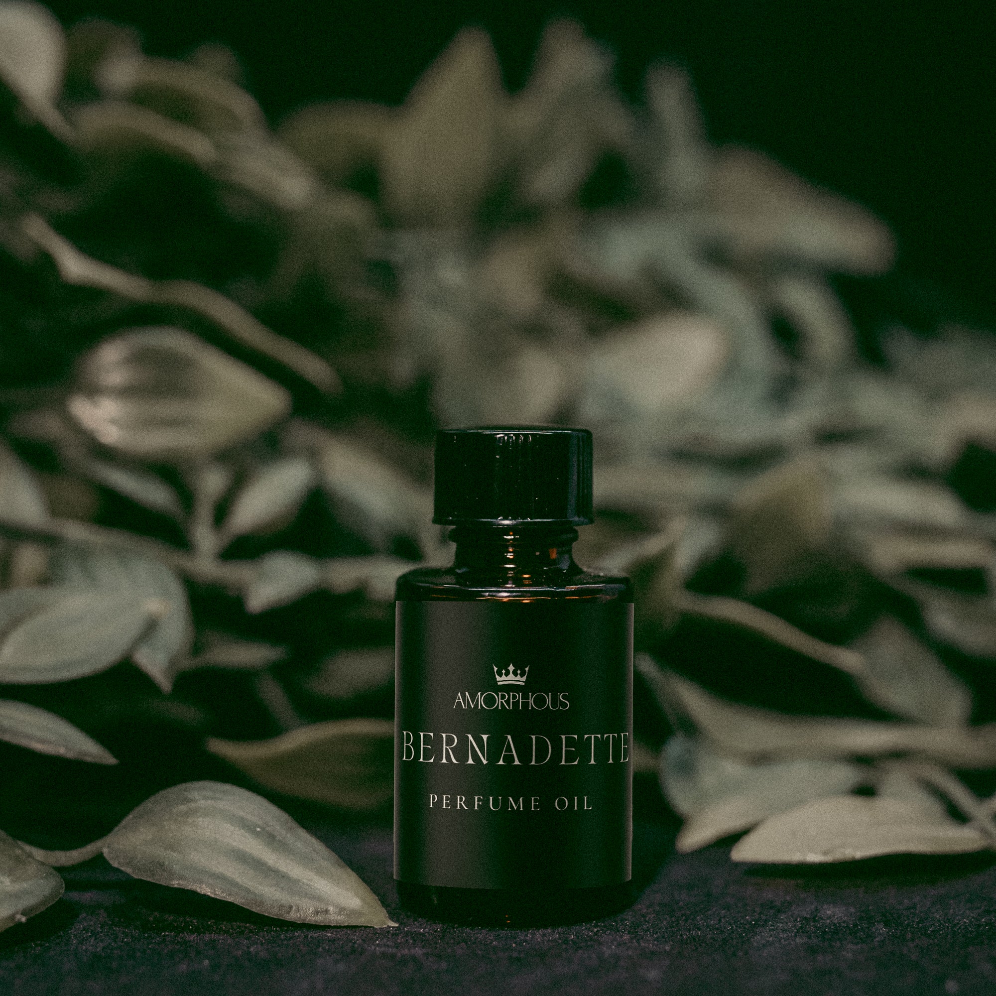 Church Perfume Discovery Set